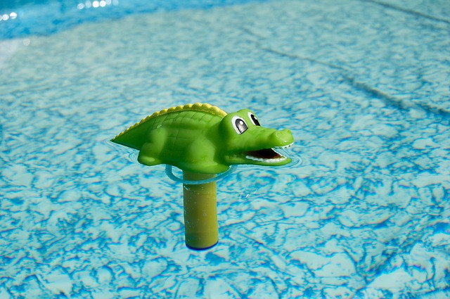krokodýl