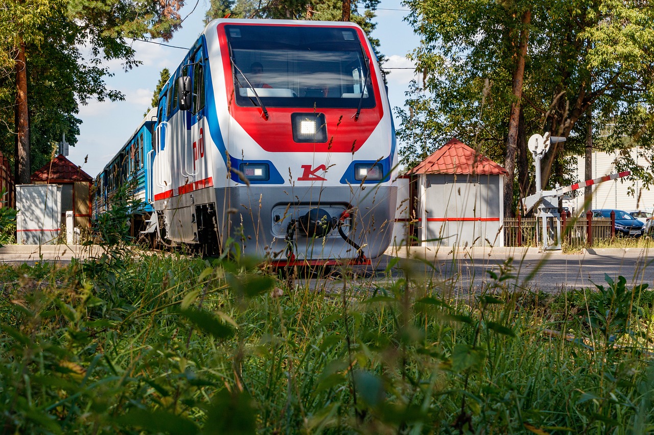 Cestování s vozíkem ve vlaku